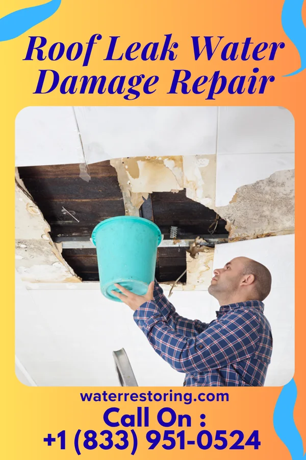 Roof Leak Water Damage Repair in McCausland, IA
