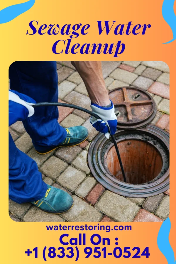 Sewage Water Cleanup in McCausland, IA